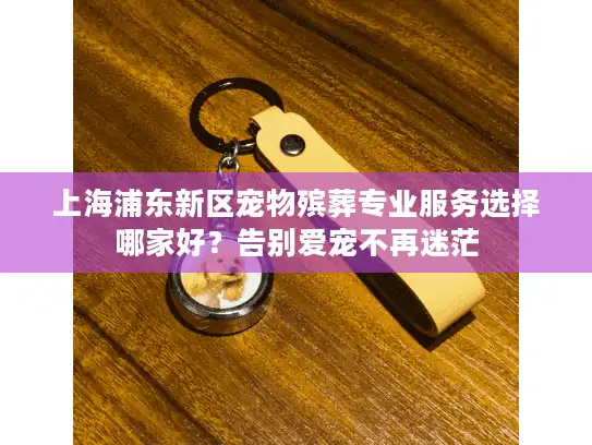 上海浦东新区宠物殡葬专业服务选择哪家好？告别爱宠不再迷茫