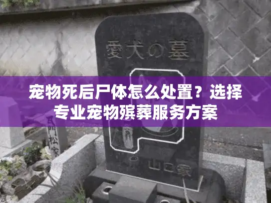 宠物死后尸体怎么处置？选择专业宠物殡葬服务方案
