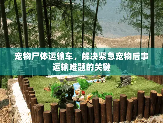 宠物尸体运输车，解决紧急宠物后事运输难题的关键