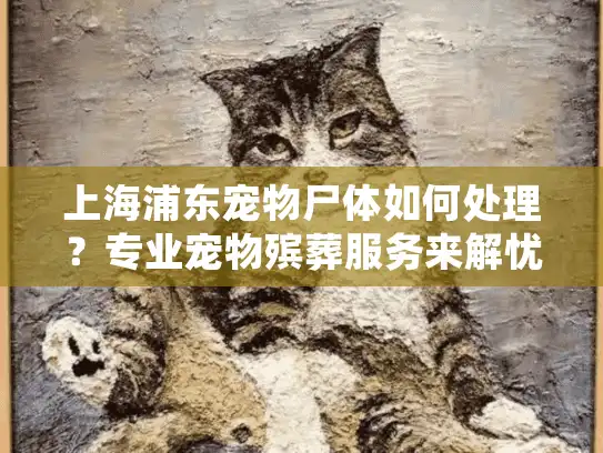 上海浦东宠物尸体如何处理？专业宠物殡葬服务来解忧