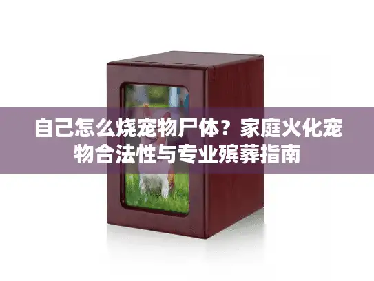 自己怎么烧宠物尸体？家庭火化宠物合法性与专业殡葬指南
