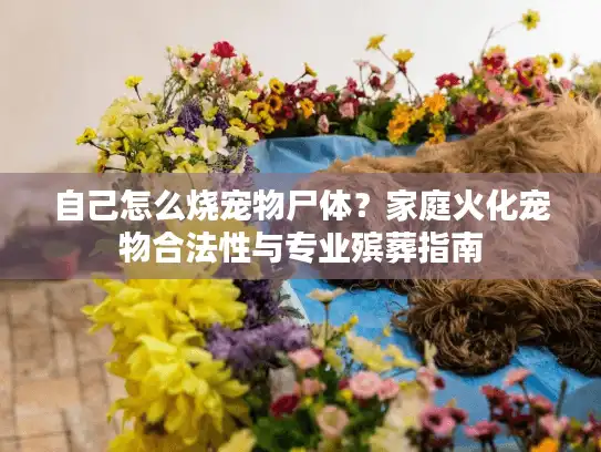 自己怎么烧宠物尸体？家庭火化宠物合法性与专业殡葬指南