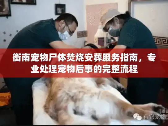 衡南宠物尸体焚烧安葬服务指南，专业处理宠物后事的完整流程