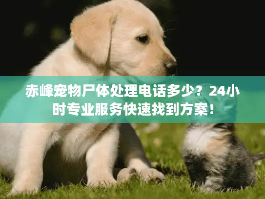 赤峰宠物尸体处理电话多少？24小时专业服务快速找到方案！