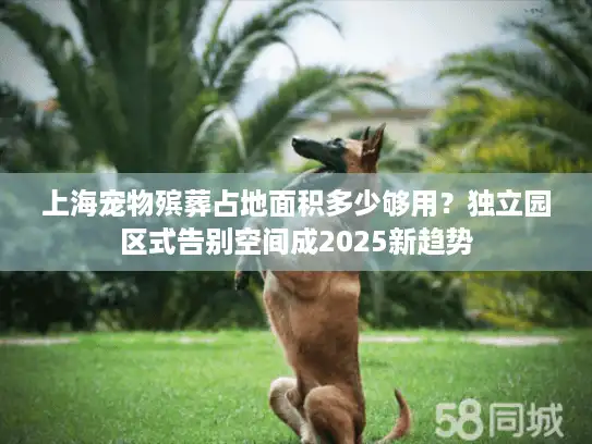 上海宠物殡葬占地面积多少够用？独立园区式告别空间成2025新趋势