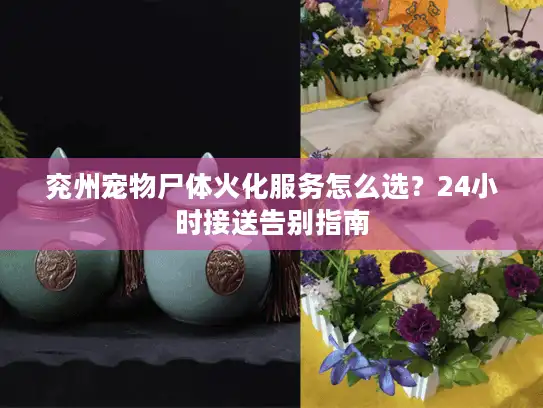 兖州宠物尸体火化服务怎么选？24小时接送告别指南
