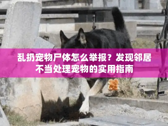 乱扔宠物尸体怎么举报？发现邻居不当处理宠物的实用指南