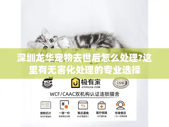 深圳龙华宠物去世后怎么处理?这里有无害化处理的专业选择