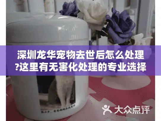 深圳龙华宠物去世后怎么处理?这里有无害化处理的专业选择
