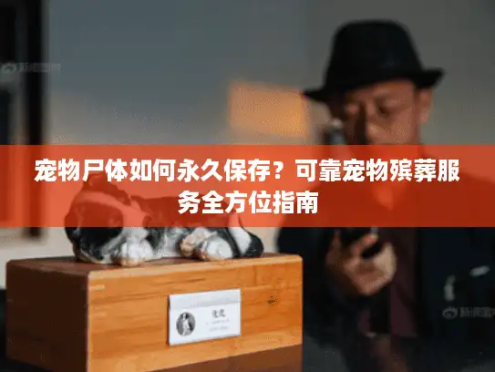 宠物尸体如何永久保存？可靠宠物殡葬服务全方位指南