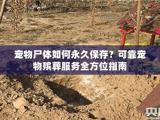 宠物尸体如何永久保存？可靠宠物殡葬服务全方位指南