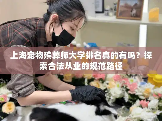上海宠物殡葬师大学排名真的有吗？探索合法从业的规范路径