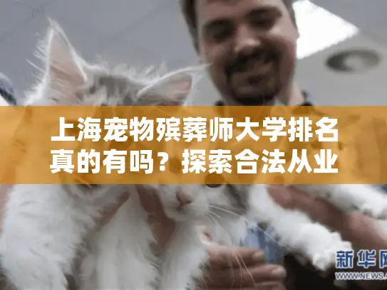 上海宠物殡葬师大学排名真的有吗？探索合法从业的规范路径
