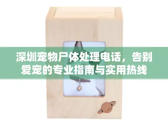 深圳宠物尸体处理电话，告别爱宠的专业指南与实用热线