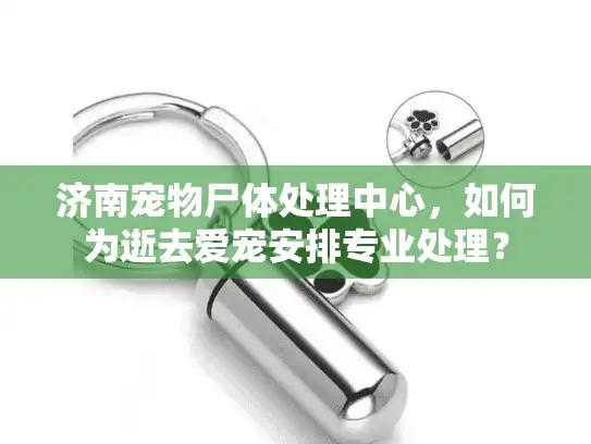 济南宠物尸体处理中心，如何为逝去爱宠安排专业处理？
