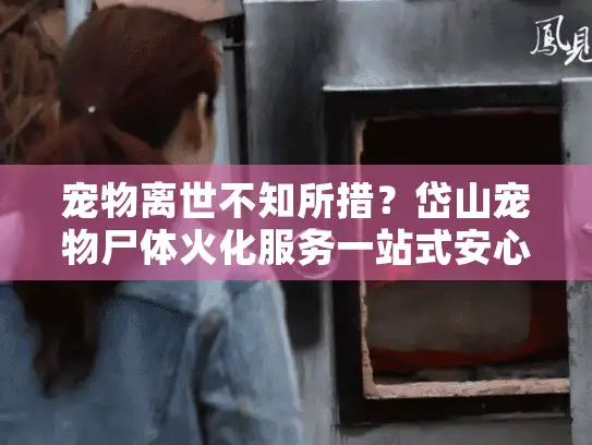 宠物离世不知所措？岱山宠物尸体火化服务一站式安心解忧