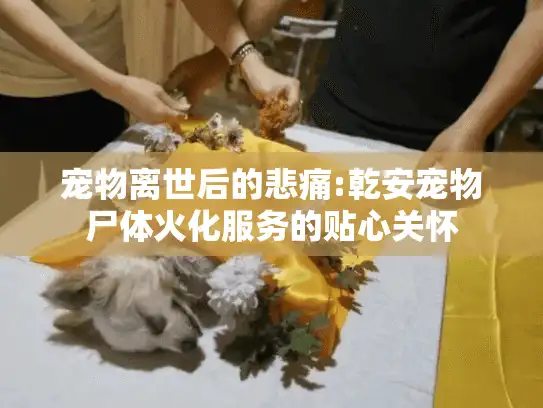 宠物离世后的悲痛:乾安宠物尸体火化服务的贴心关怀