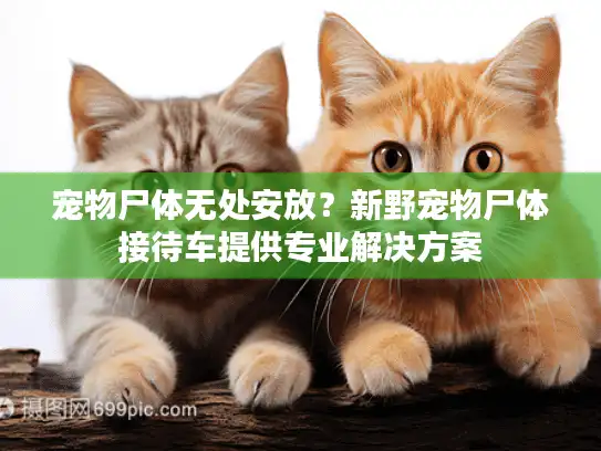 宠物尸体无处安放？新野宠物尸体接待车提供专业解决方案