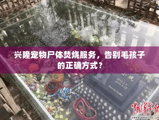 兴隆宠物尸体焚烧服务，告别毛孩子的正确方式？