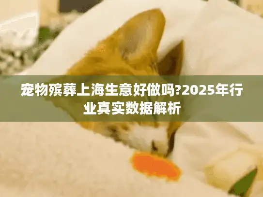 宠物殡葬上海生意好做吗?2025年行业真实数据解析