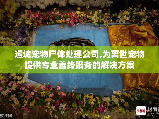 运城宠物尸体处理公司,为离世宠物提供专业善终服务的解决方案