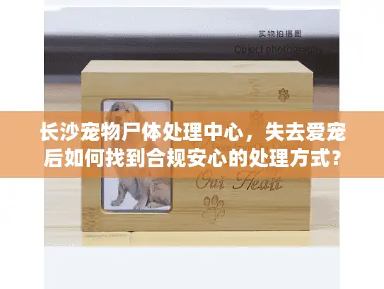 长沙宠物尸体处理中心，失去爱宠后如何找到合规安心的处理方式？