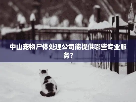 中山宠物尸体处理公司能提供哪些专业服务？