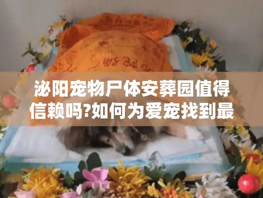 泌阳宠物尸体安葬园值得信赖吗?如何为爱宠找到最好的归宿?