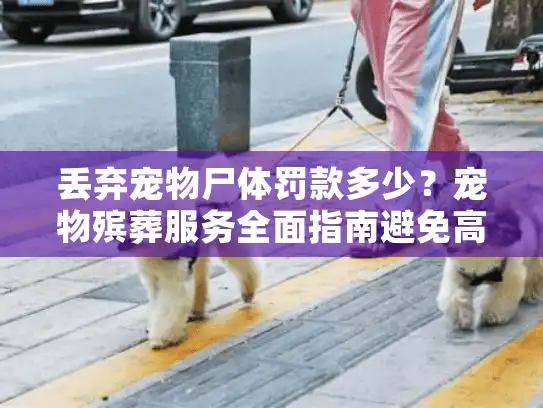丢弃宠物尸体罚款多少？宠物殡葬服务全面指南避免高额罚单