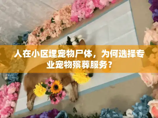 人在小区埋宠物尸体，为何选择专业宠物殡葬服务？
