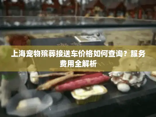 上海宠物殡葬接送车价格如何查询？服务费用全解析
