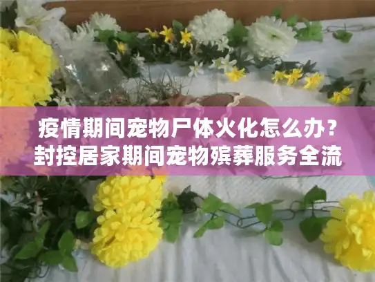 疫情期间宠物尸体火化怎么办？封控居家期间宠物殡葬服务全流程指南