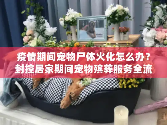 疫情期间宠物尸体火化怎么办？封控居家期间宠物殡葬服务全流程指南