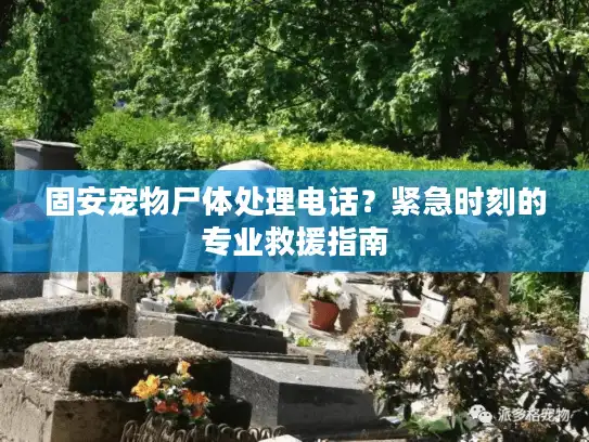 固安宠物尸体处理电话？紧急时刻的专业救援指南