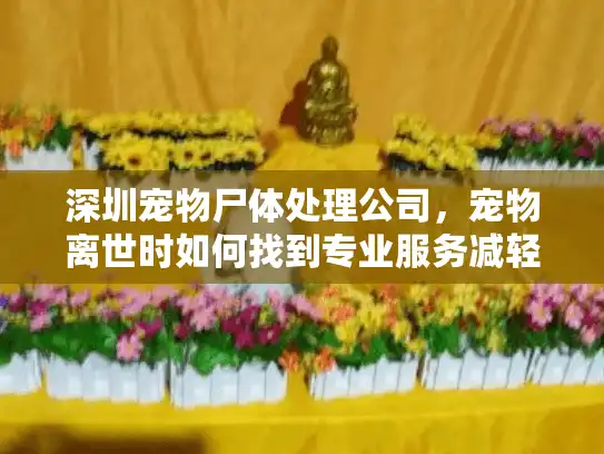 深圳宠物尸体处理公司，宠物离世时如何找到专业服务减轻伤痛？
