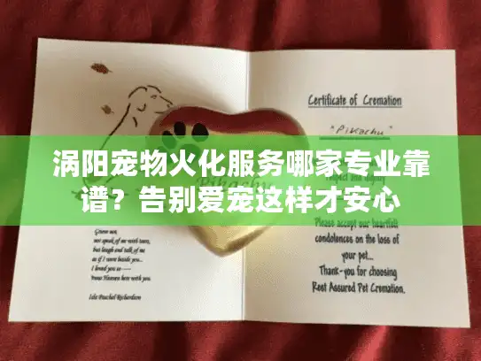 涡阳宠物火化服务哪家专业靠谱？告别爱宠这样才安心