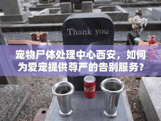 宠物尸体处理中心西安，如何为爱宠提供尊严的告别服务？