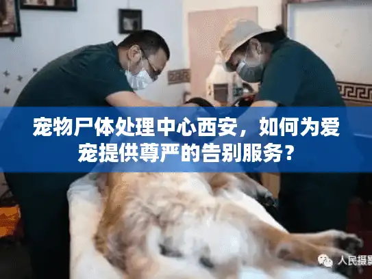 宠物尸体处理中心西安，如何为爱宠提供尊严的告别服务？