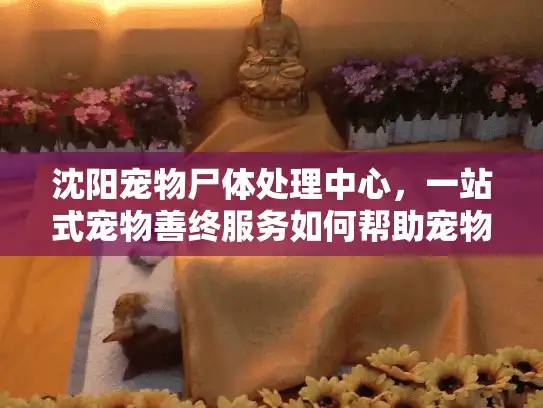 沈阳宠物尸体处理中心，一站式宠物善终服务如何帮助宠物主？
