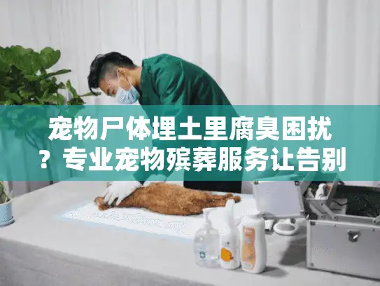 宠物尸体埋土里腐臭困扰？专业宠物殡葬服务让告别更安心