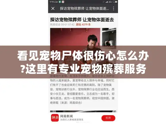 看见宠物尸体很伤心怎么办?这里有专业宠物殡葬服务指南
