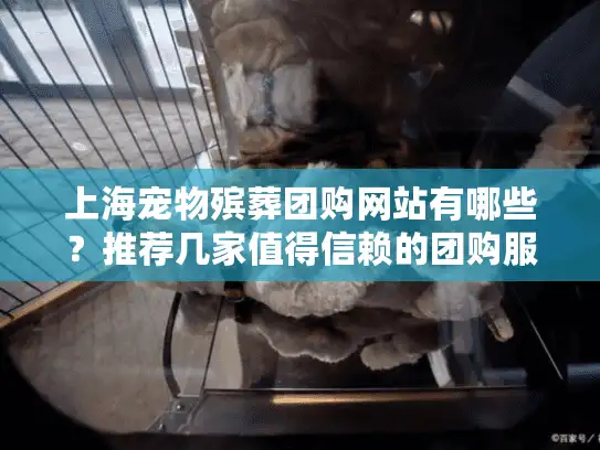 上海宠物殡葬团购网站有哪些？推荐几家值得信赖的团购服务平台