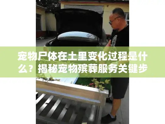 宠物尸体在土里变化过程是什么？揭秘宠物殡葬服务关键步骤