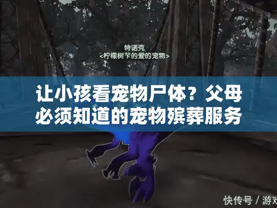 让小孩看宠物尸体？父母必须知道的宠物殡葬服务真相