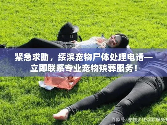 紧急求助，绥滨宠物尸体处理电话—立即联系专业宠物殡葬服务！