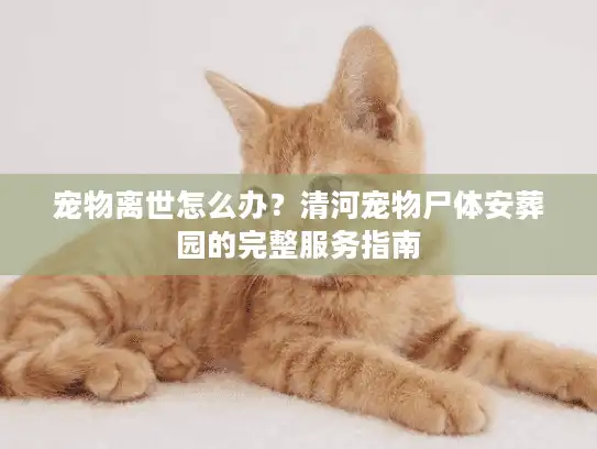 宠物离世怎么办？清河宠物尸体安葬园的完整服务指南