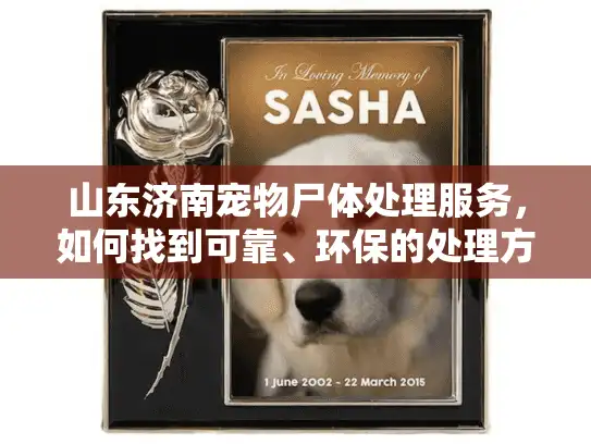 山东济南宠物尸体处理服务，如何找到可靠、环保的处理方案？