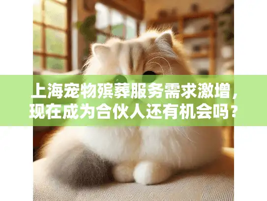上海宠物殡葬服务需求激增，现在成为合伙人还有机会吗？