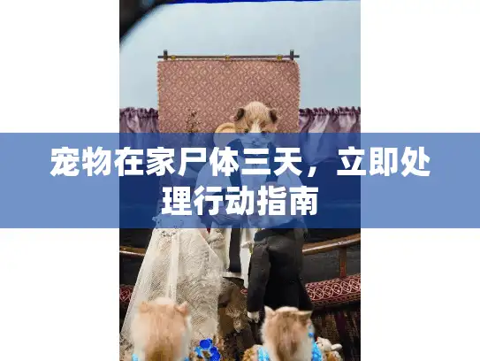 宠物在家尸体三天，立即处理行动指南