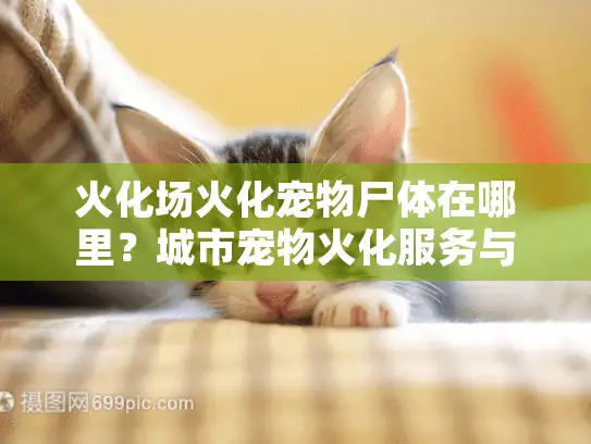 火化场火化宠物尸体在哪里？城市宠物火化服务与费用全解